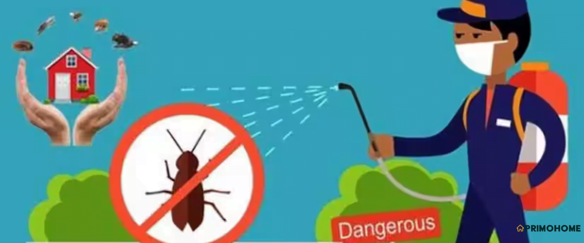 Effective Pest Control Solutions: How to Safeguard Your Home and Health